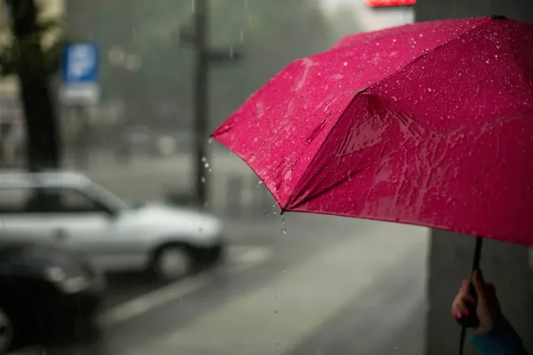 person with an umbrella