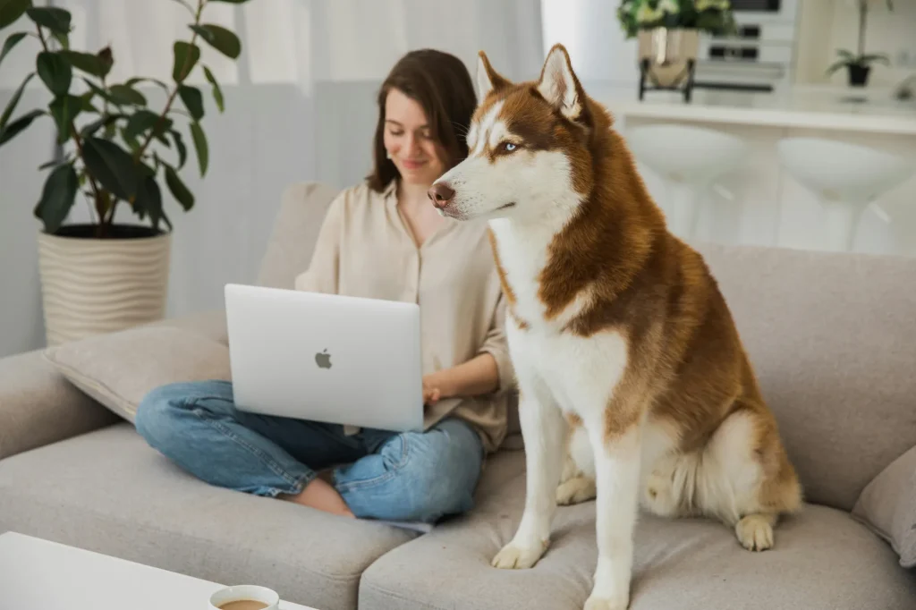 person studying on a laptop with their dog