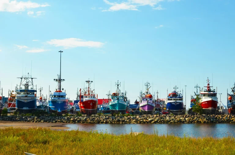 boats in New Brunswick